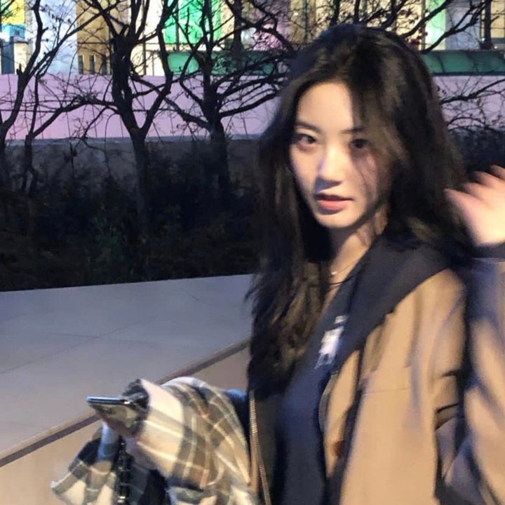 狗的生涯
